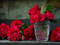 红花岗区再来家常馆