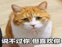 红花岗区再来家常馆