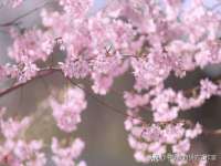 红花岗区再来家常馆