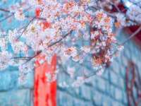 红花岗区再来家常馆