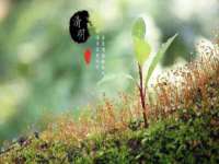 红花岗区再来家常馆