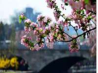 红花岗区再来家常馆
