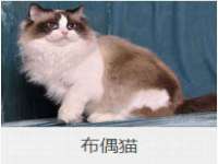 红花岗区再来家常馆