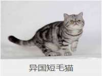 红花岗区再来家常馆
