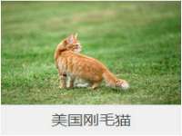 红花岗区再来家常馆