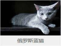 红花岗区再来家常馆
