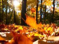 红花岗区再来家常馆