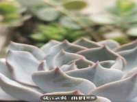 红花岗区再来家常馆