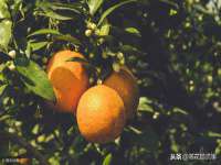 红花岗区再来家常馆