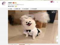 红花岗区再来家常馆