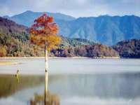 红花岗区再来家常馆