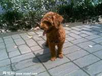 红花岗区再来家常馆