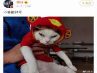 红花岗区再来家常馆