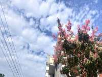红花岗区再来家常馆